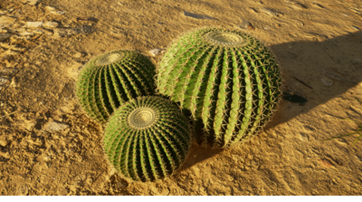 Weekly Star Atlas Newsletter #24