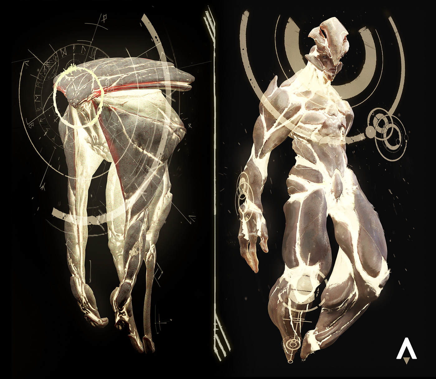 Photoli | ONI Region