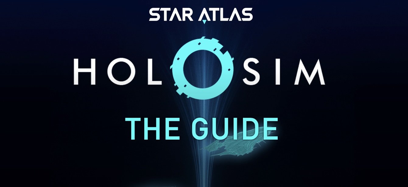 Holosim Guide