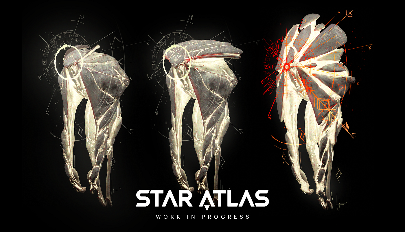 Photoli Race WIP /// Future NFT Collectible Asset /// Owner/Player Customization