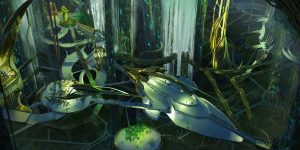 ogrika jod asteris 03